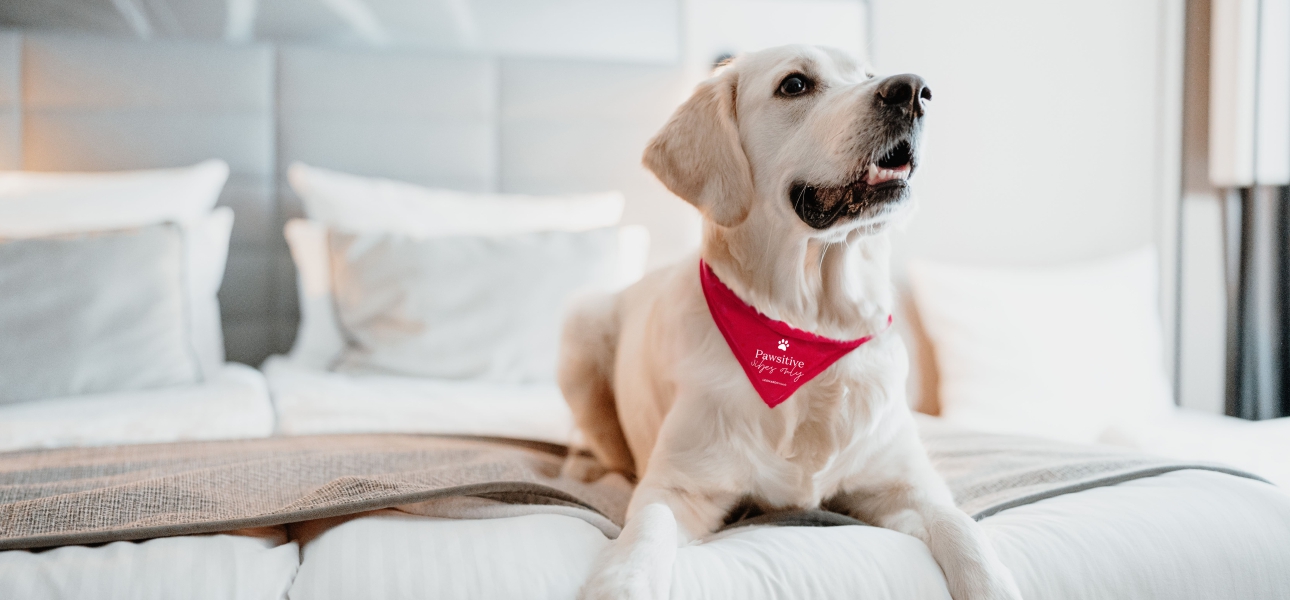 Haustiere willkommen! ©Leonardo Hotels Central Europe